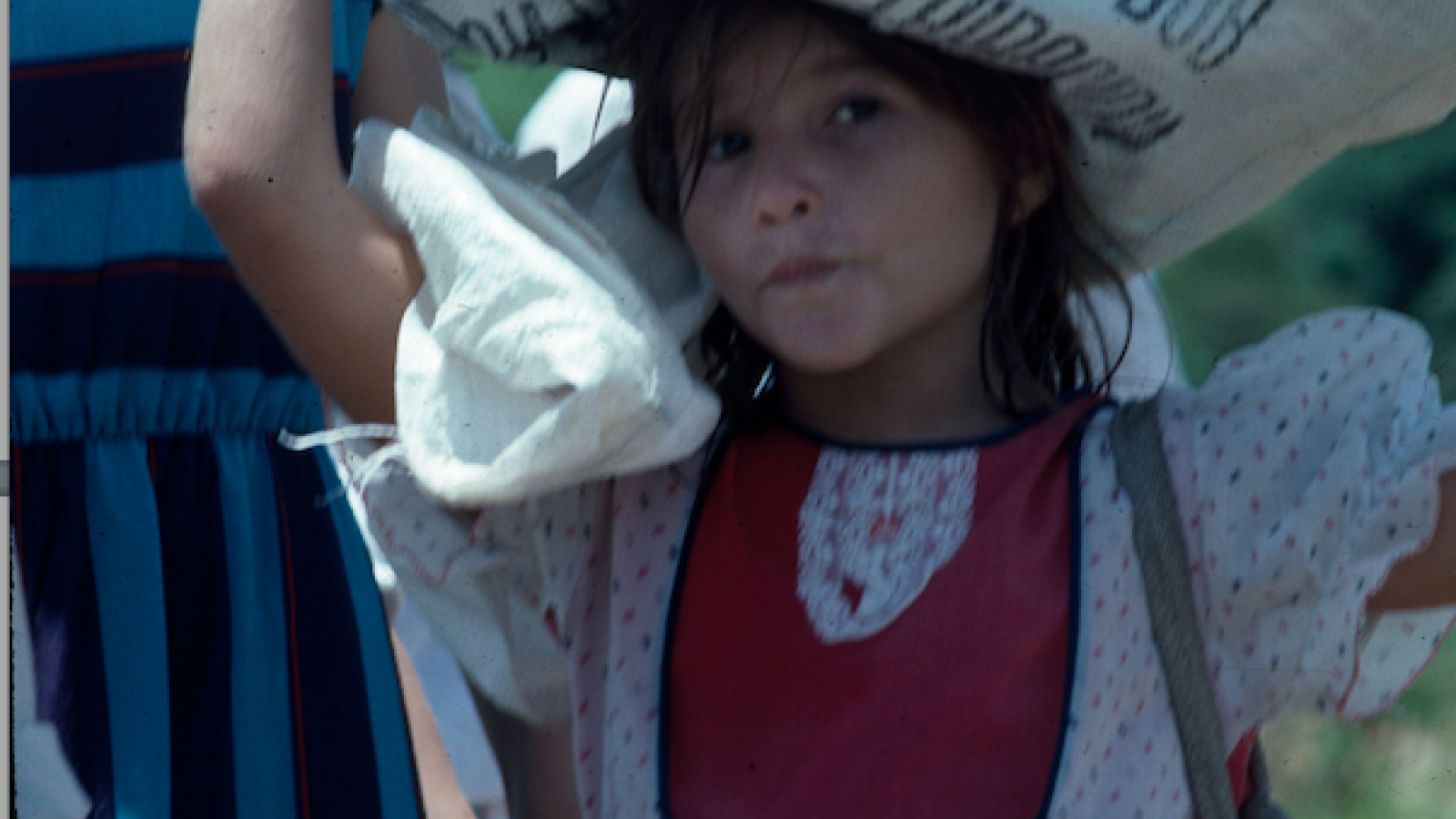 Photo of a Young Girl - Copapayo